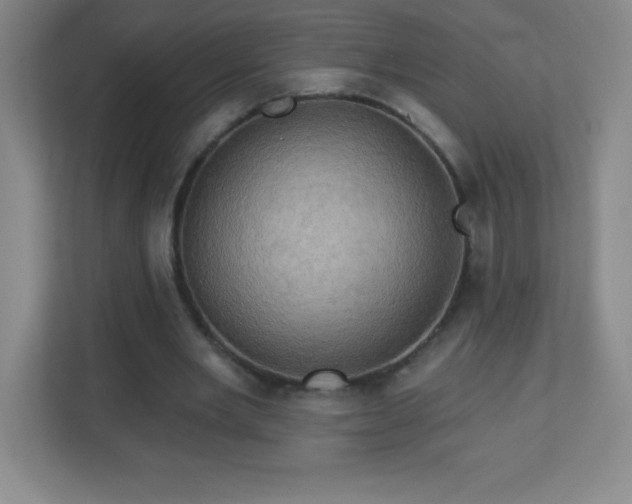 X0000113050485200909031335