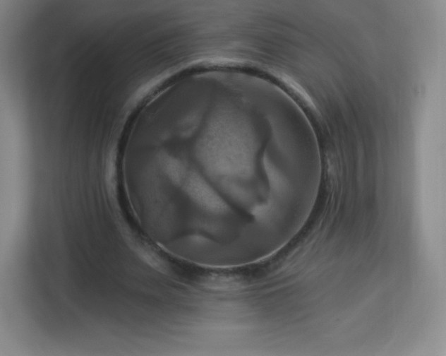 X0000113050487200909031335