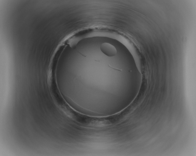 X0000113050488200909031335