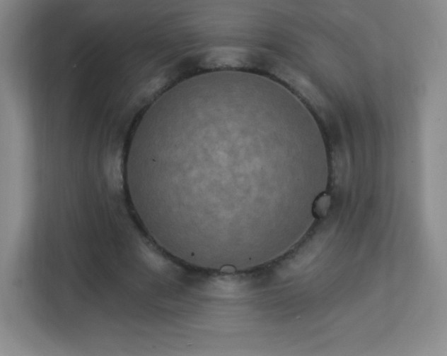 X0000113050489200909031335