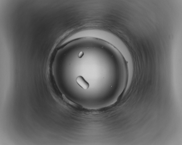 X0000113050492200909031335