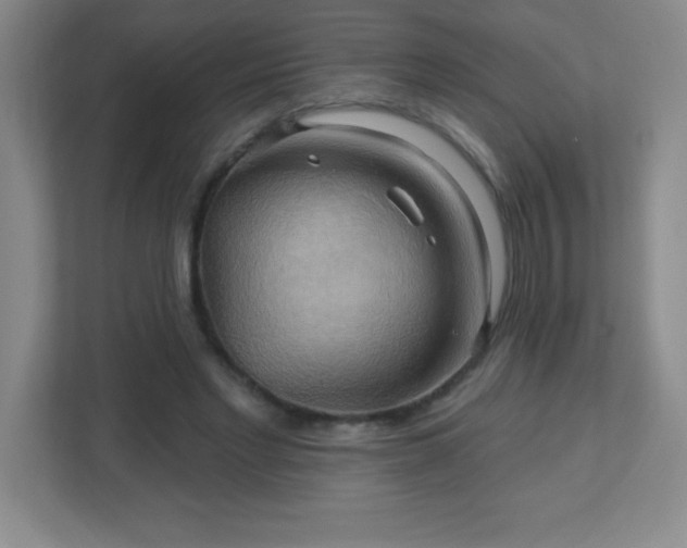 X0000113050493200909031335