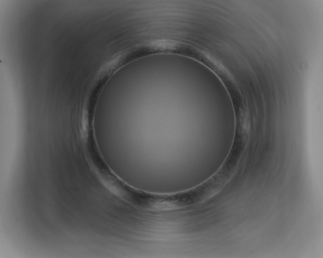 X0000113050494200909031335