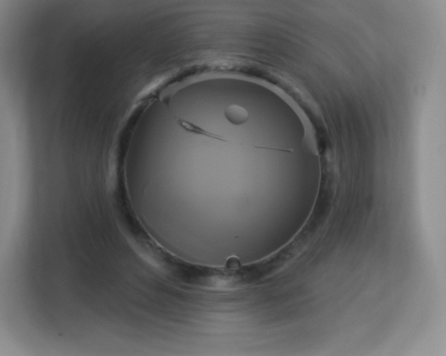 X0000113050496200909031335