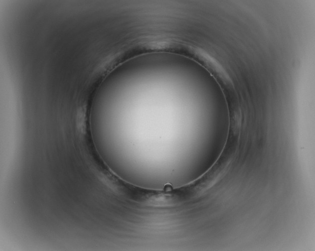 X0000113050497200909031335