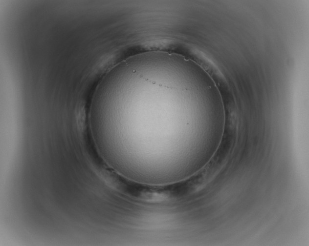 X0000113050498200909031335