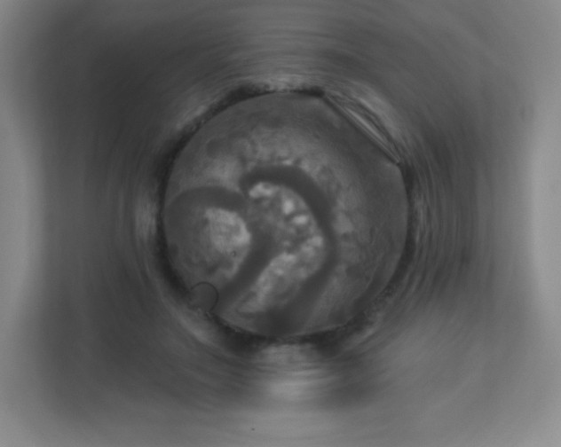 X0000113050499200909031335