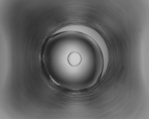 X0000113050500200909031334