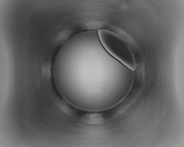 X0000113050501200909031334