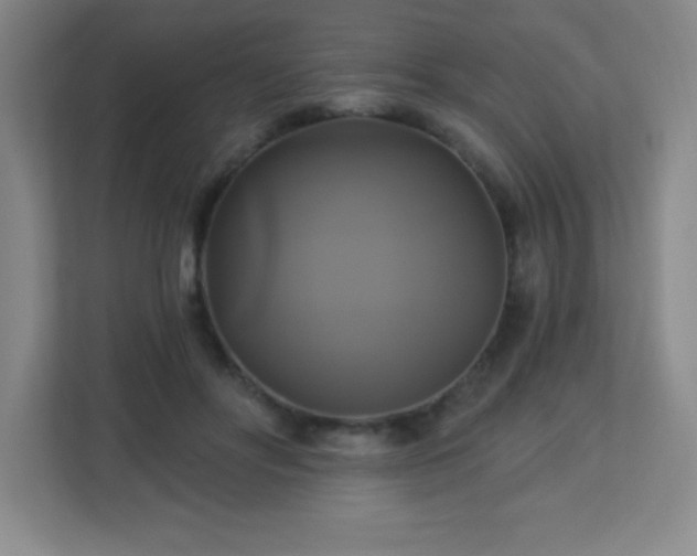 X0000113050502200909031334