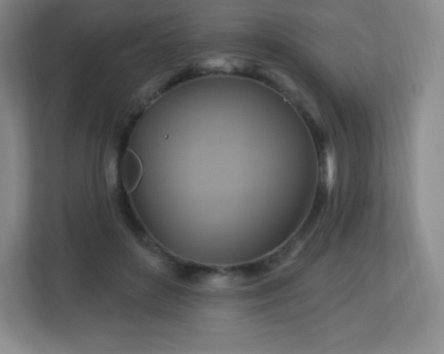 X0000113050504200909031334