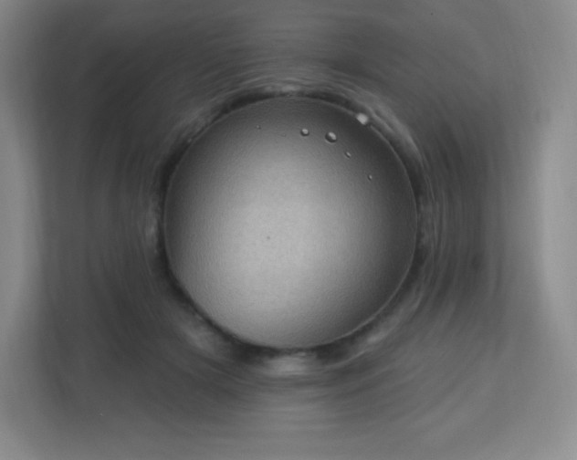 X0000113050505200909031334