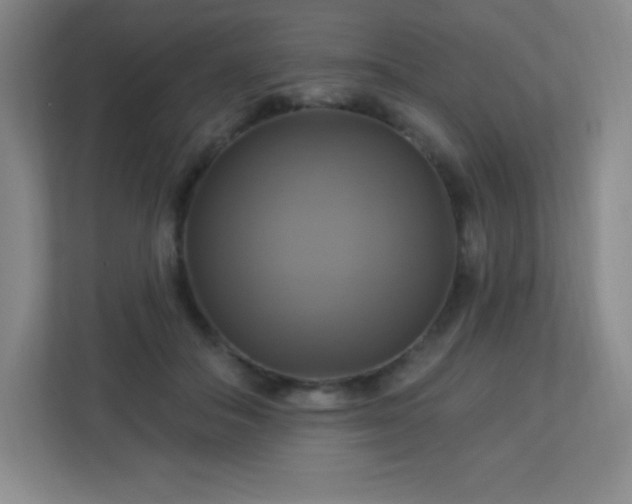 X0000113050506200909031334