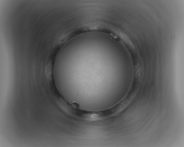 X0000113050509200909031334