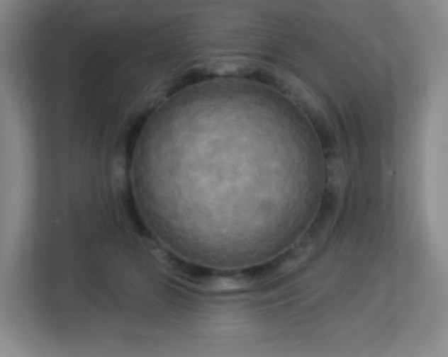 X0000113050510200909031334