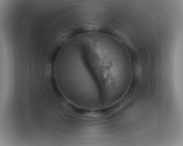 X0000113050511200909031334