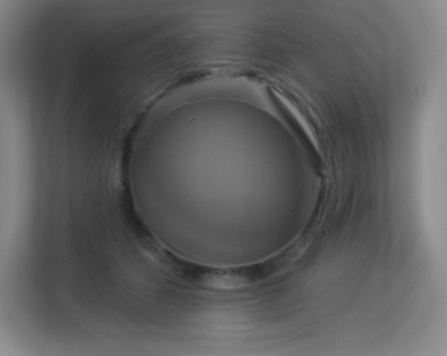 X0000113050512200909031334