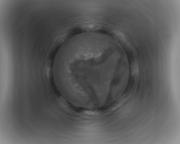 X0000113050515200909031334