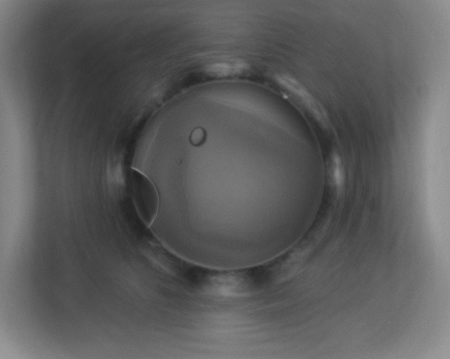 X0000113050516200909031334