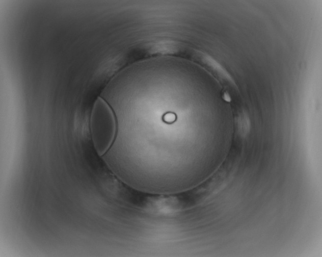 X0000113050517200909031334