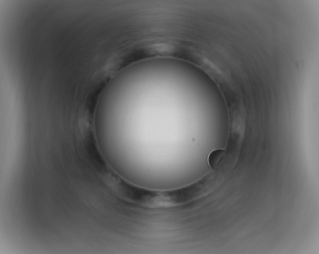 X0000113050518200909031334