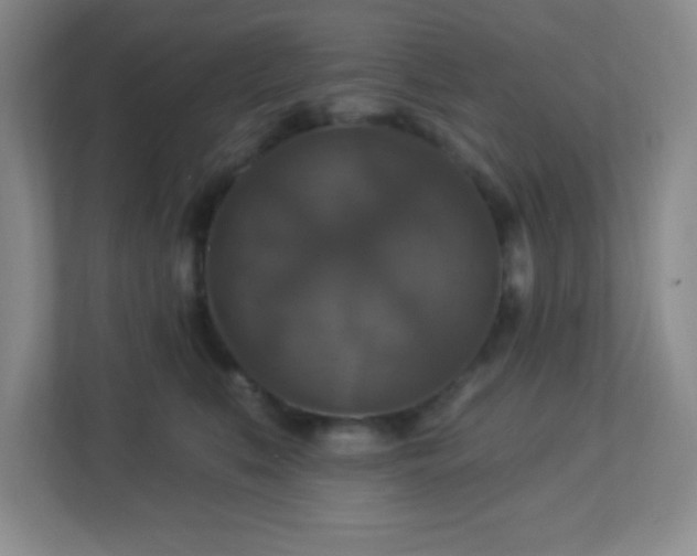 X0000113050519200909031334