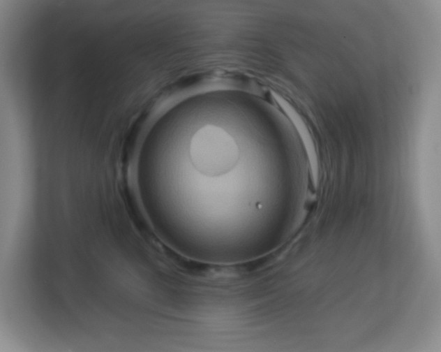 X0000113050520200909031334