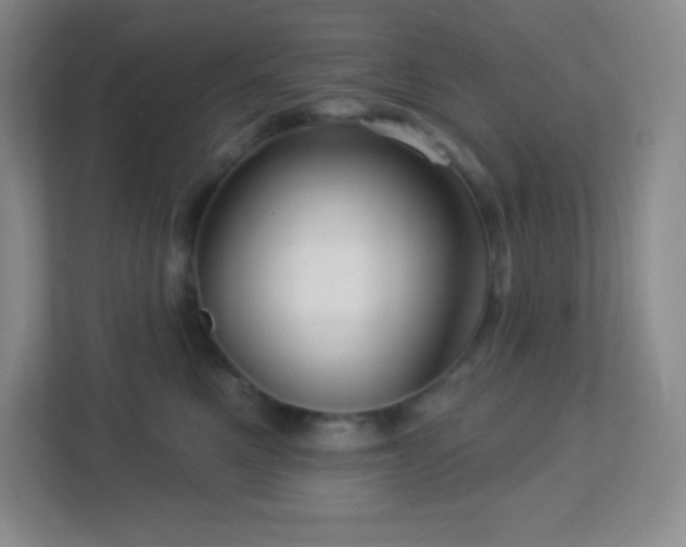 X0000113050521200909031334