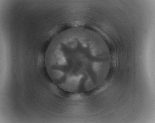 X0000113050523200909031334