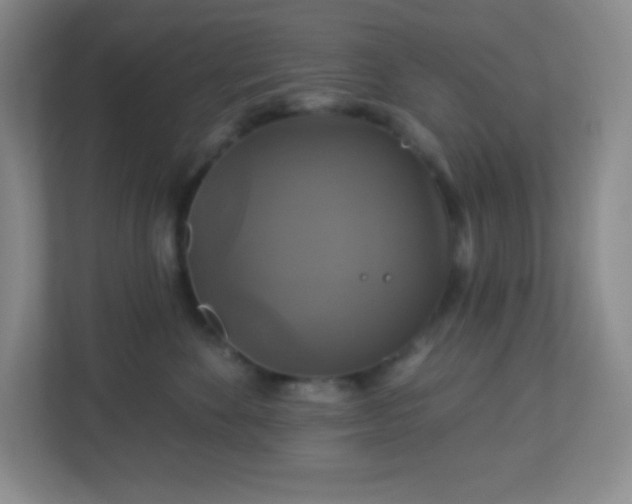 X0000113050524200909031334