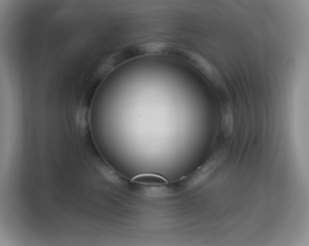 X0000113050525200909031334