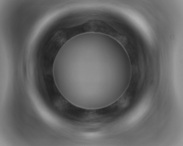 X0000113050526200909031334