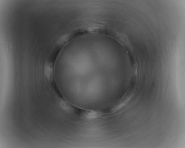 X0000113050527200909031334