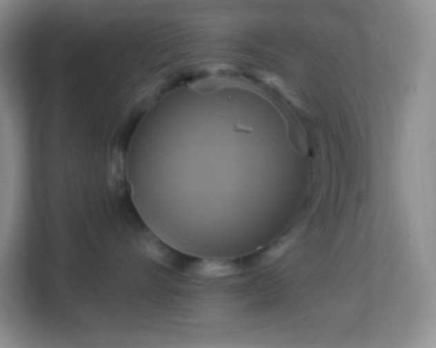 X0000113050528200909031334