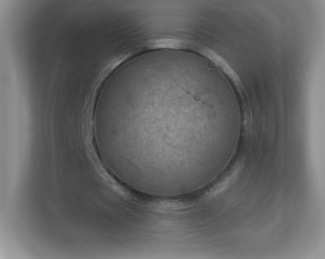 X0000113050529200909031334