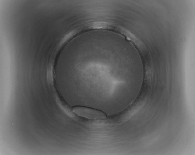 X0000113050530200909031334