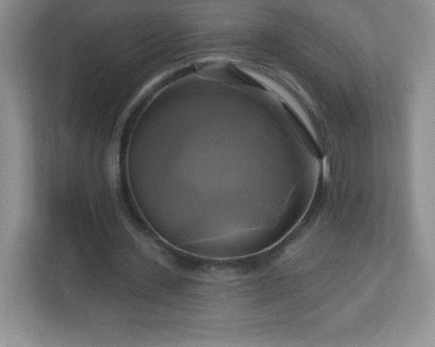 X0000113050531200909031334