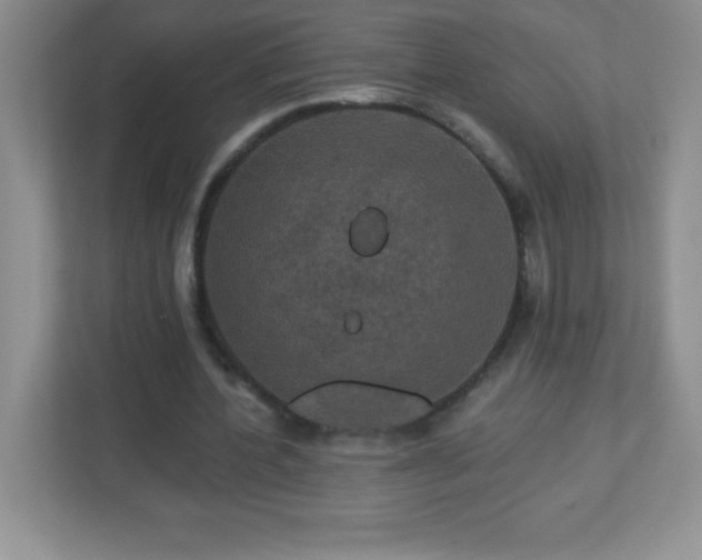 X0000113050532200909031334