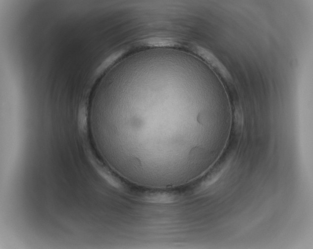 X0000113050533200909031334