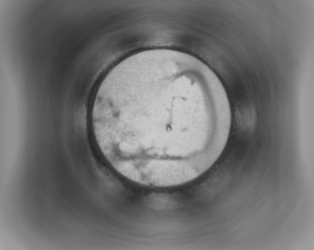 X0000113050534200909031334