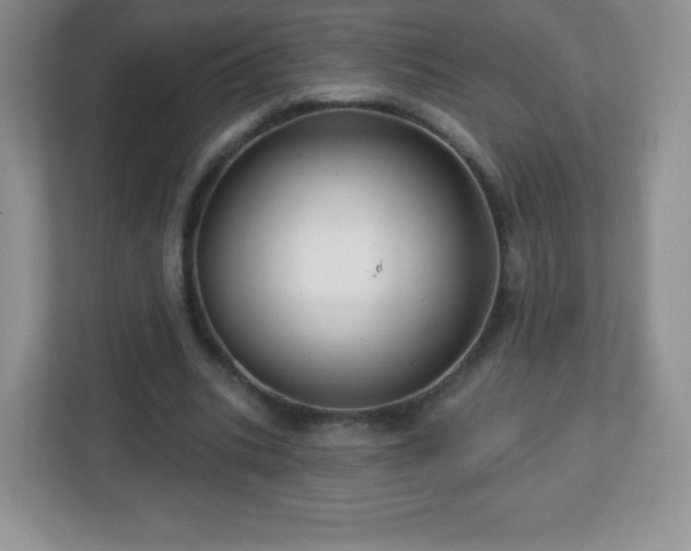 X0000113050535200909031334