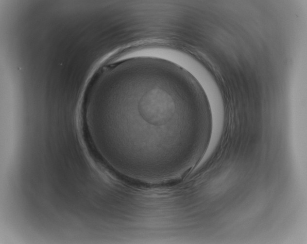 X0000113050536200909031334