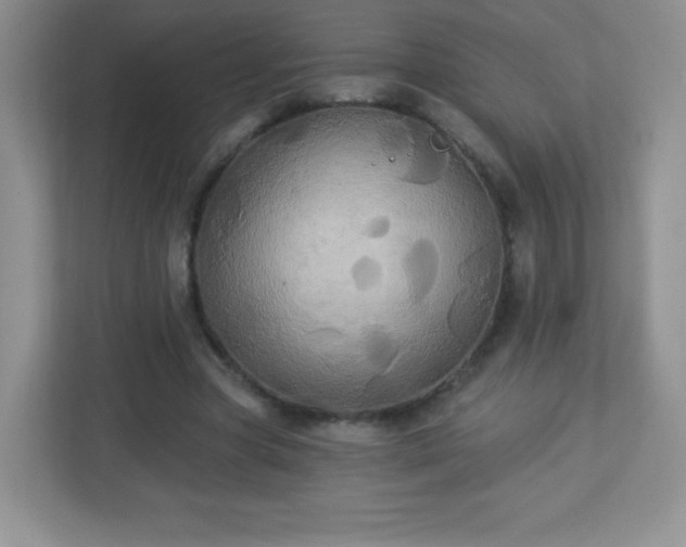 X0000113050537200909031334