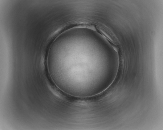 X0000113050538200909031334