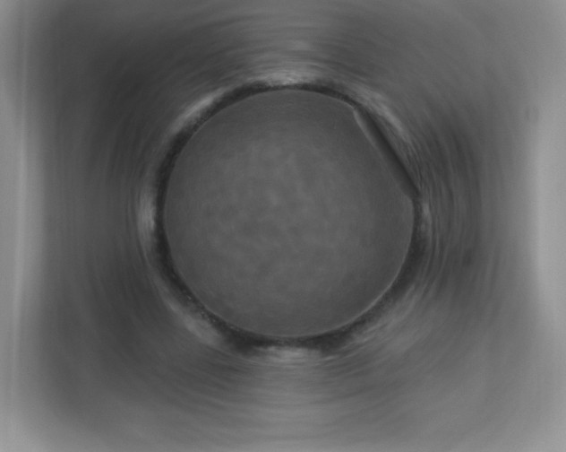 X0000113050539200909031334