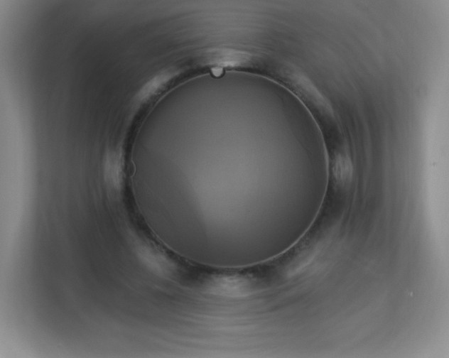 X0000113050540200909031334