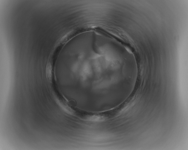 X0000113050542200909031334