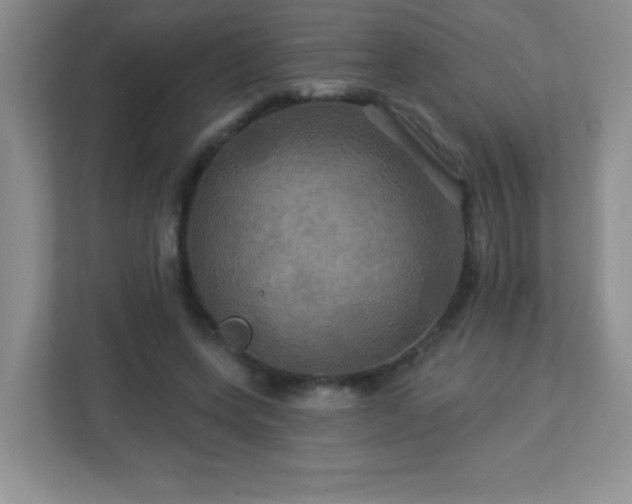 X0000113050543200909031334