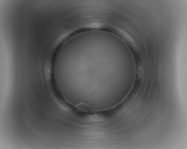 X0000113050544200909031334