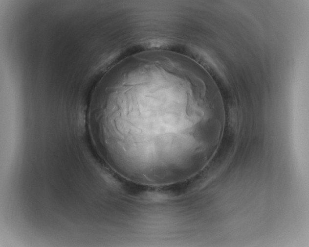 X0000113050545200909031334